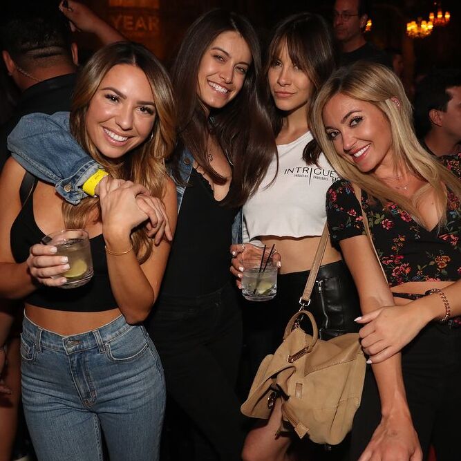 DUBLIN PARTY ANIMAL<BR> PUB CRAWL (public)
